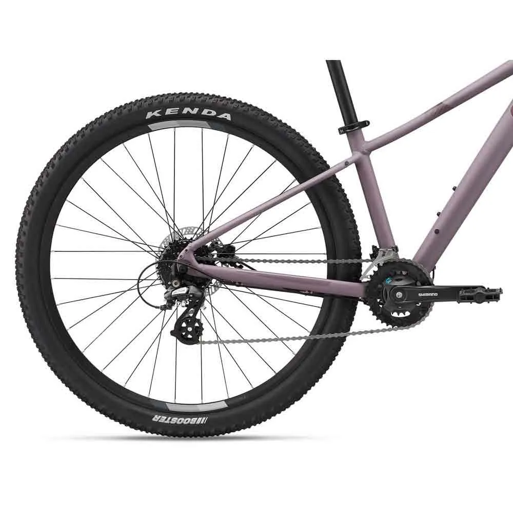 Liv Tempt 3 Ge 29´´ Alivio M3100 2022 Mountainbike, Purple ash, L Liv Tempt 3 Ge 29´´ Alivio M3100 2022 Mountainbike, Purple ash, L