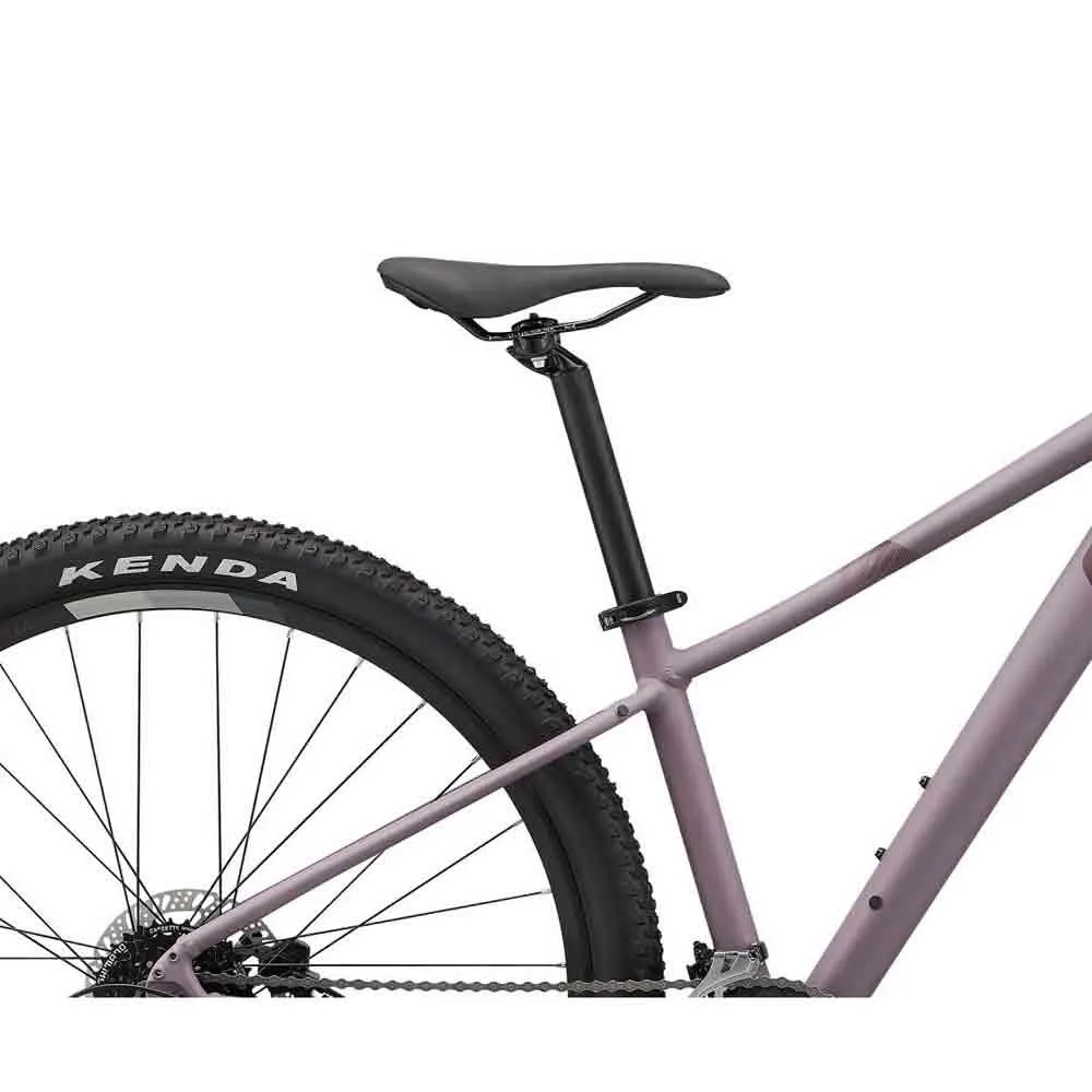 Liv Tempt 3 Ge 29´´ Alivio M3100 2022 Mountainbike, Purple ash, L Liv Tempt 3 Ge 29´´ Alivio M3100 2022 Mountainbike, Purple ash, L