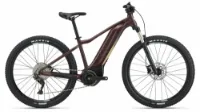 Liv Tempt E+ 1 | V1 figuier 29" 500 Wh Diamant Liv Tempt E+ 1 | V1 figuier 29" 500 Wh Diamant