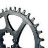 Lola Sram 8b Kettenblatt