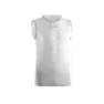 Ice gray 2