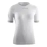 Ice gray 1