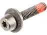 Magura Befestigungsschraube für Easy Mount Adapter, Schwarz, one_size