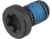 Magura Hebelweiteneinstellschraube für HS 33 R Magura Hebelweiteneinstellschraube für HS 33 R