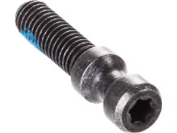 Magura Schnellspanner-Schraube für Evo 2 Torx Magura Schnellspanner-Schraube für Evo 2 Torx