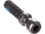 Magura Schnellspanner-Schraube für Evo 2 Torx, Grau, T25