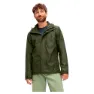 Green goose