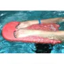 Malmsten Kickboard