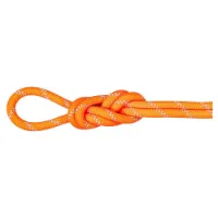 Mammut Alpine 9.5 Mm Seil Mammut Alpine 9.5 Mm Seil
