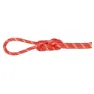 Mammut Alpine Classic 8 Mm Seil