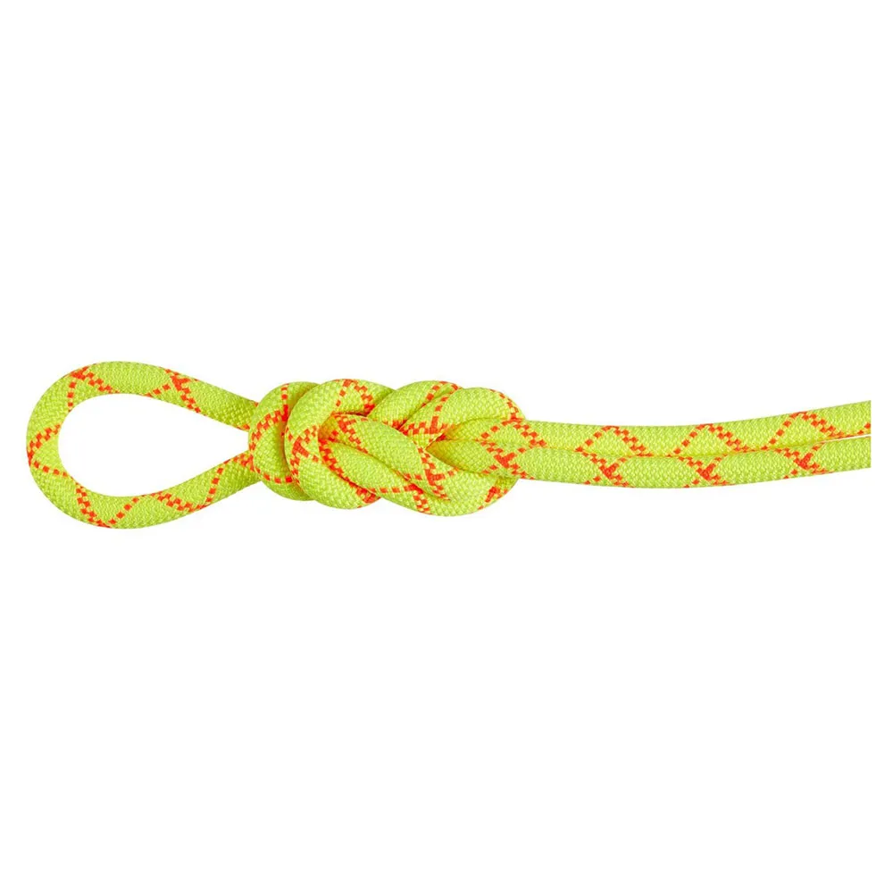 Mammut Alpine Core Protect 9.5 Mm Seil
