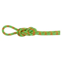 Mammut Alpine Core Protect Dry 8 Mm Seil