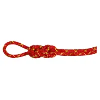 Mammut Alpine Core Protect Dry 8 Mm Seil Mammut Alpine Core Protect Dry 8 Mm Seil