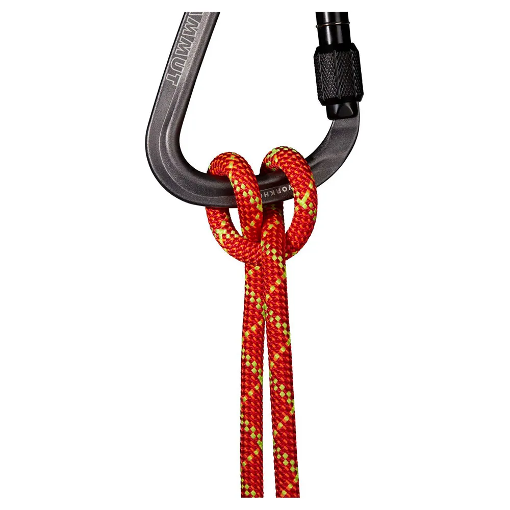 Mammut Alpine Core Protect Dry 8 Mm Seil