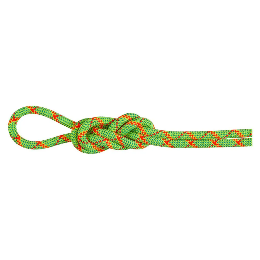 Mammut Alpine Core Protect Dry 8 Mm Seil Mammut Alpine Core Protect Dry 8 Mm Seil