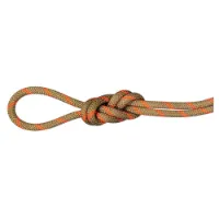 Mammut Alpine Dry 8 Mm Seil Mammut Alpine Dry 8 Mm Seil
