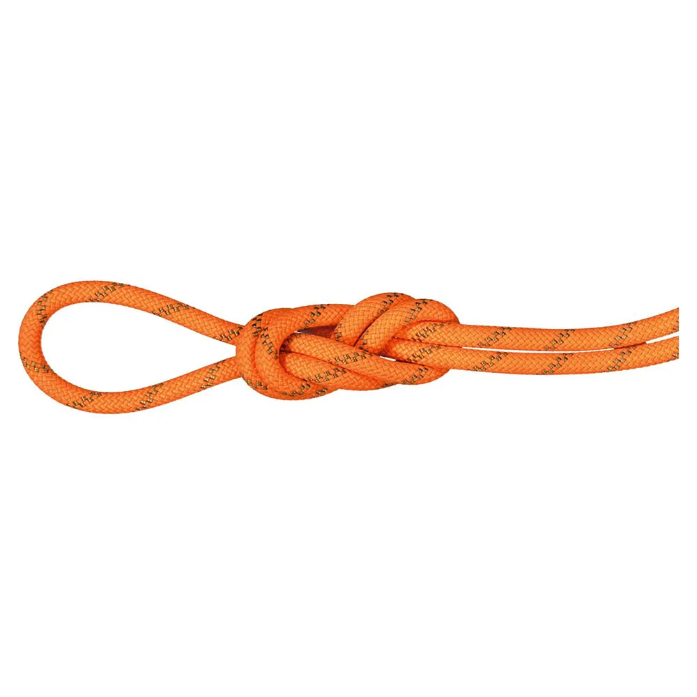 Mammut Alpine Dry 8 Mm Seil