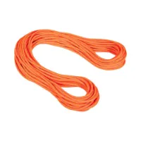 Mammut Alpine Dry 9.5 Mm Seil Mammut Alpine Dry 9.5 Mm Seil