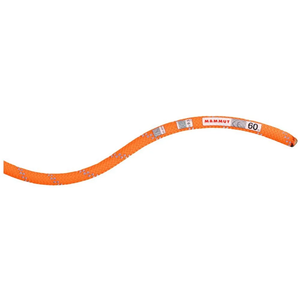 Mammut Alpine Dry 9.5 Mm Seil Mammut Alpine Dry 9.5 Mm Seil