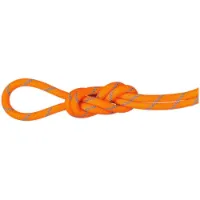 Mammut Alpine Sender Dry 8.7 Mm Seil