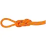 Dry standard / vibrant orange / orange