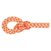 Mammut Crag Classic 9.5 Mm Seil Mammut Crag Classic 9.5 Mm Seil