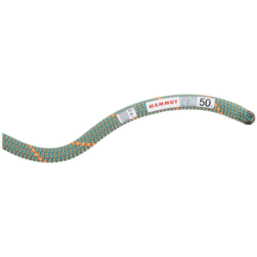 Mammut Crag Workhorse Dry 9.9 Mm Seil Mammut Crag Workhorse Dry 9.9 Mm Seil