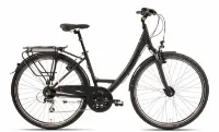 Mammut Edition Comfort 5.0 - 24K Wave 