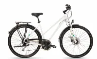 Mammut Edition DLX 7.0 - 24K Trapez Mammut Edition DLX 7.0 - 24K Trapez