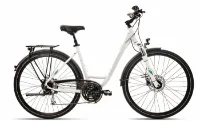 Mammut Edition DLX 7.0 - 24K Wave Mammut Edition DLX 7.0 - 24K Wave