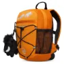 Tangerine / dark tangerine