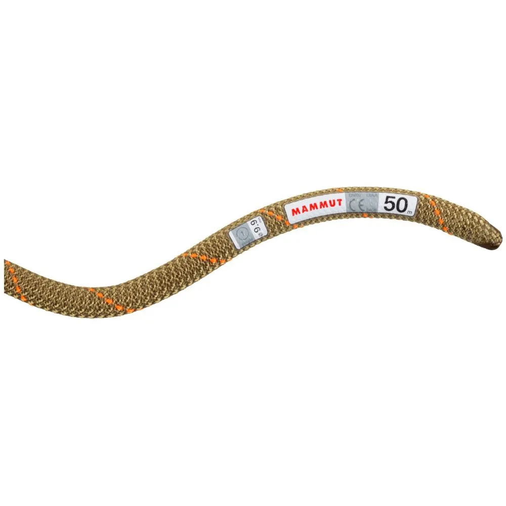 Mammut Gym Workhorse Classic 9.9 Mm Seil Mammut Gym Workhorse Classic 9.9 Mm Seil