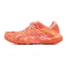 Dark salmon / light salmon
