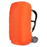 Vibrant orange