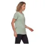 Silver sage melange 2