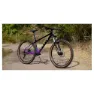 Marin Bobcat Trail 4 29´´ 2025 Mountainbike