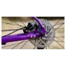 Marin Bobcat Trail 4 29´´ 2025 Mountainbike