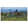 Marin Bobcat Trail 5 29´´ 2025 Mountainbike