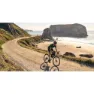 Marin Four Corners 2 X 700 Gravelbike