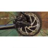 Marin Muirwoods Advent 2023 Fahrrad