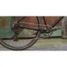 Marin Muirwoods Advent 2023 Fahrrad