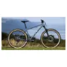 Marin Pine Mountain 1 29´´ 2024 Mountainbike, Grey, S