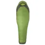 Wheatgrass / crocodile
