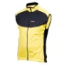 Yellow / black