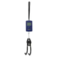 MASSI Bc-100 40kg Digitalwaage MASSI Bc-100 40kg Digitalwaage