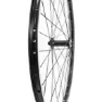 MASSI Black Gold 2 Tx-800 26´´ Tubeless Mtb Vorderrad, Black, 9 x 100mm