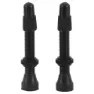 MASSI Mtc-104 Presta Tubeless Removable Ventilkern 20 Einheiten, Black, One Size
