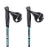 Masters Nordic Walking Stöcke, Black / turquoise, 77-135cm