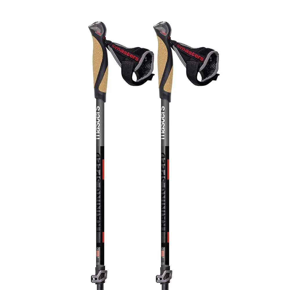 Masters Training Speed Stöcke, Black / grey, 86-130cm Masters Training Speed Stöcke, Black / grey, 86-130cm