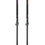 Masters Training Speed Stöcke, Black / grey, 86-130cm